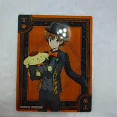 家庭教師ヒットマンREBORN! サンリオ アクリルカード 沢田綱吉