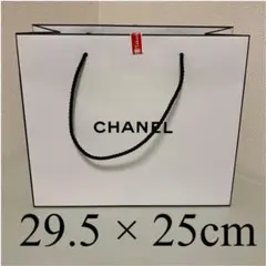 CHANEL ショップ袋
