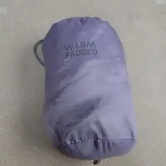 Item thumbnail for item 05930fad-80f3-401d-972e-d8db34ae7525