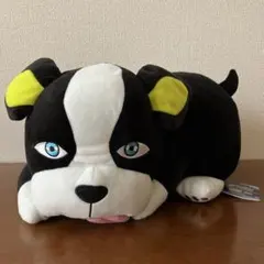 ジョジョの奇妙な冒険　イギー