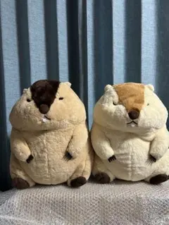 マーモットのもっとっと ウルトラBIG ぬいぐるみ 3種 - メルカリ