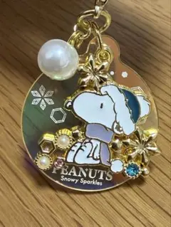 スヌーピー USJ ユニバ 冬 ウィンター ピーナッツ キーホルダー チャーム
