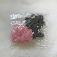 RIIZE ウォンビン トニャンドク シュシュ - メルカリ