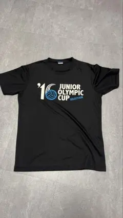 Item thumbnail for item 8daabf7a-e8aa-4133-aef0-c384e86a2cec