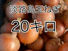 専用淡路島産玉ねぎ 20キロ - メルカリ