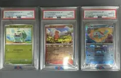 PSA 6連番 御三家 151 マスボミラーのみ 2025年最新】ポケカ 御三家 151の人気アイテム - メルカリ