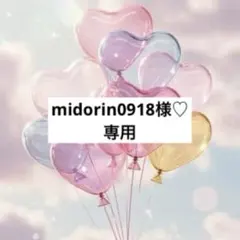 midorin0918様 リクエスト 2点 まとめ商品