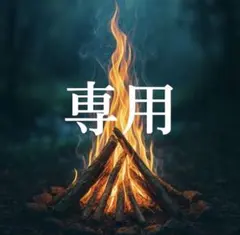 へんへん様 リクエスト 2点 まとめ商品
