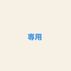 専用ページ