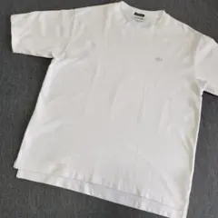 【大人気】LACOSTE ラコステ 半袖 Tシャツのサムネイル