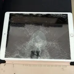 iPad pro 10.5インチ　256gbシルバー 本体