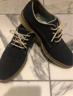 【売切】アルフレッドバニスターのサムネイル
