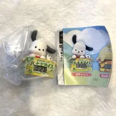 サンリオ ポチャッコ ダンボールウォッチ