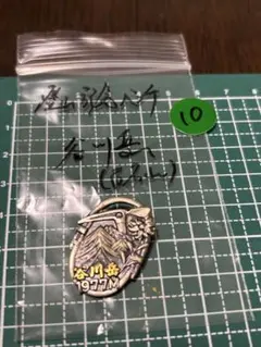 Item thumbnail for item bad8e8b5-22e4-431f-81d3-bccc79f2dafe