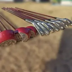 Item thumbnail for item e8f7e8a4-397f-43d2-a21f-8cc6fdce21c8