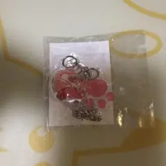 パラライ　パラネコ　アクキー　玲央