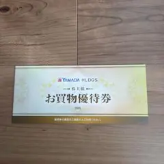 YAMADA HLDGS. お買物優待券