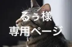 るぅ様オーダー専用ページ