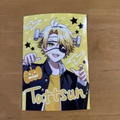 2025年最新】からぴち たっつん トレカの人気アイテム - メルカリ