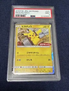 良品　ピカチュウ ポケモンパン　ごちそうタイム　2枚 良品 ピカチュウ ポケモンパン ごちそうタイム 2枚
