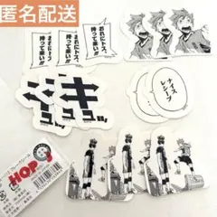 ハイキュー！　フレークシール　14枚セット