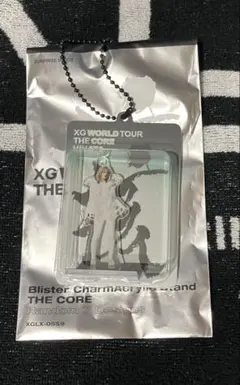 ヒナタ　ブリスターチャームアクリルスタンド　XG