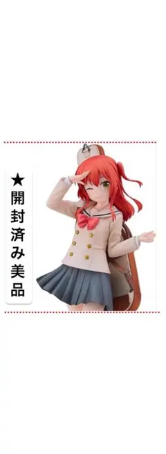 Pさんさん専用（違う方の支払いはキャンセルとします、ご了承ください。