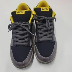 ジ*ー様 Nike ダンクロープレミアムSB