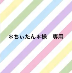 ＊ちぃたん＊様専用　オーダー　レッスンバック　体操袋　巾着2枚