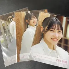 2026年最新】静寂の暴力 生写真の人気アイテム - メルカリ