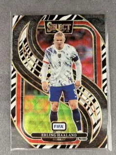 24-25 panini select FIFA ハーランド　zebra