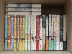 BLコミックス 商業BL 24冊セット まとめ売り