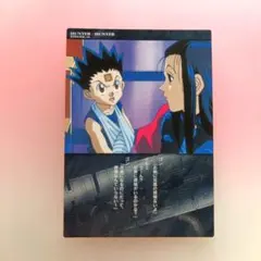 2025年最新】hunter×hunter カードダス イルミの人気アイテム - メルカリ