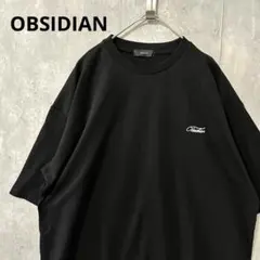 24678✨オブシディアン ゴルフ モックネック Tシャツ プリント メンズ