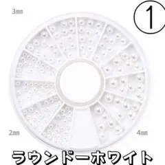 ネイルパーツ ブリオン パール ラウンドパーツ カラージェル