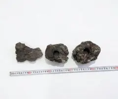 ADA 雲山石　６点セット 2026年最新】雲山石の人気アイテム - メルカリ