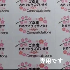 mtk様専用ご卒業おめでとうございますシール　 桜　枝付き　1シート44枚