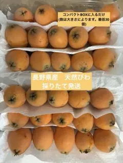無農薬/びわ/長野県産のサムネイル