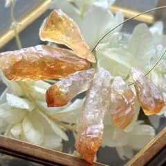 ichika様 リクエスト 2点 まとめ商品