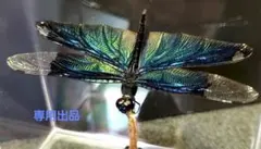 シーマ様 リクエスト 2点 まとめ商品