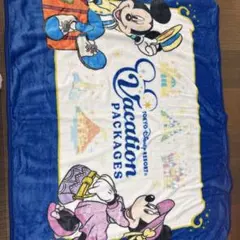 ディズニー　ブランケット