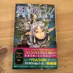 シャンク様 リクエスト 2点 まとめ商品