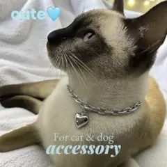 【美品】猫・小型犬用 シルバーチェーン首輪 ハートチャーム付き 撮影用にも◎