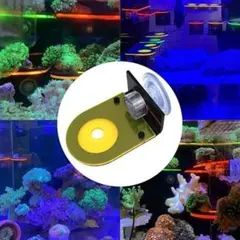 2025年最新】サンゴフラグの人気アイテム - メルカリ