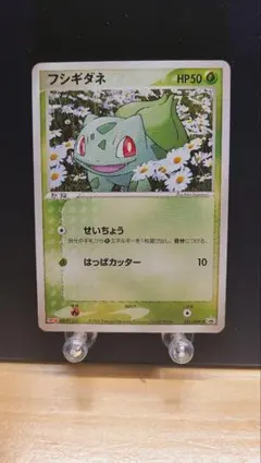 2026年最新】カード名：フシギダネ ポケモンカードゲームの人気