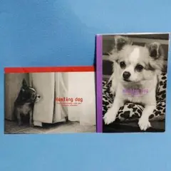 Item thumbnail for item 7f18f1ec-e119-4774-b40d-c7f758127207