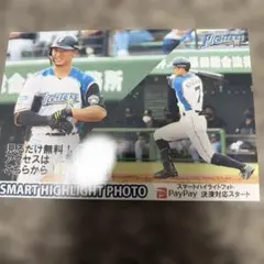 北海道日本ハムファイターズ 西川遥輝 スマートハイライトフォト