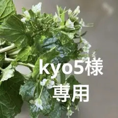 kyo5様専用