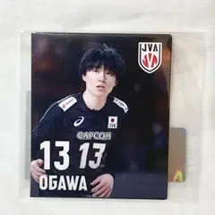 小川智大 グッズ 販売終了しました※ オフィシャルサポーターズクラブ限定グッズの