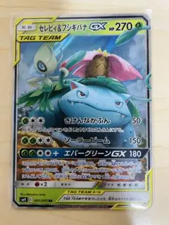 フシギバナ&ツタージャGX RR サン&ムーン 強化拡張パック リミックス